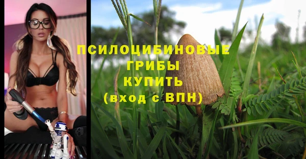 ешки Армянск