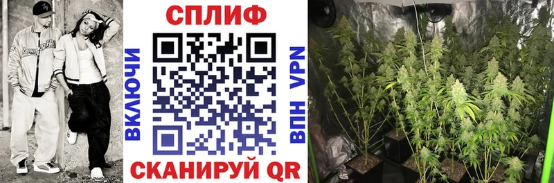 Конопля Ganja  Приволжск 